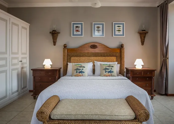 Faros (adults Only) 피스카던