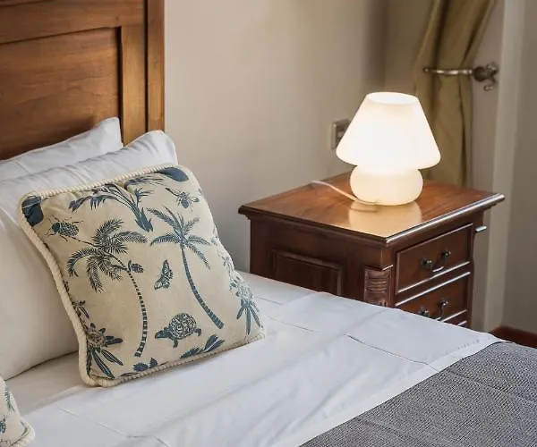 Faros (adults Only) 피스카던