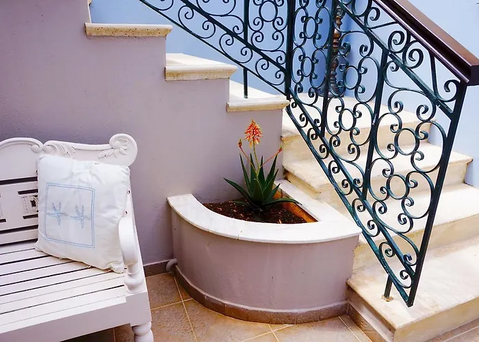 Faros (adults Only) 피스카던